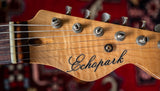 Echopark '62 Vintage Burst, Flamed Swamp Ash Case Study